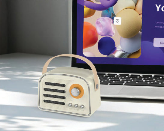 ANTIQ SPEAKER