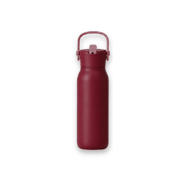 SipN’Go | 700ml Insulated Stainless Steel Water Bottle with Straw