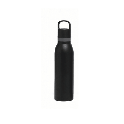 GRAB&SIP | 530ml Stainless Steel Bottle | 2-in-1 Straw & Direct Sip