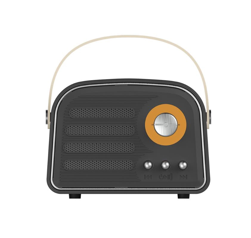 Antiq Speaker