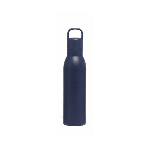 GRAB&SIP | 530ml Stainless Steel Bottle | 2-in-1 Straw & Direct Sip