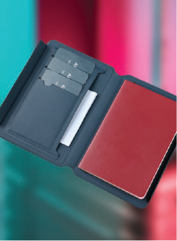 PASSPORT CASE PLUS